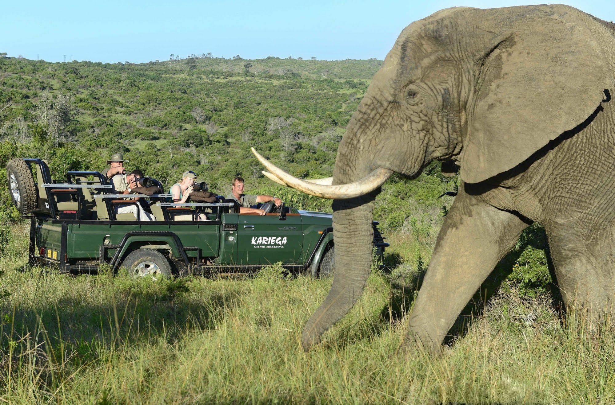Kariega Game Reserve Main Lodge Kenton on Sea Luaran gambar