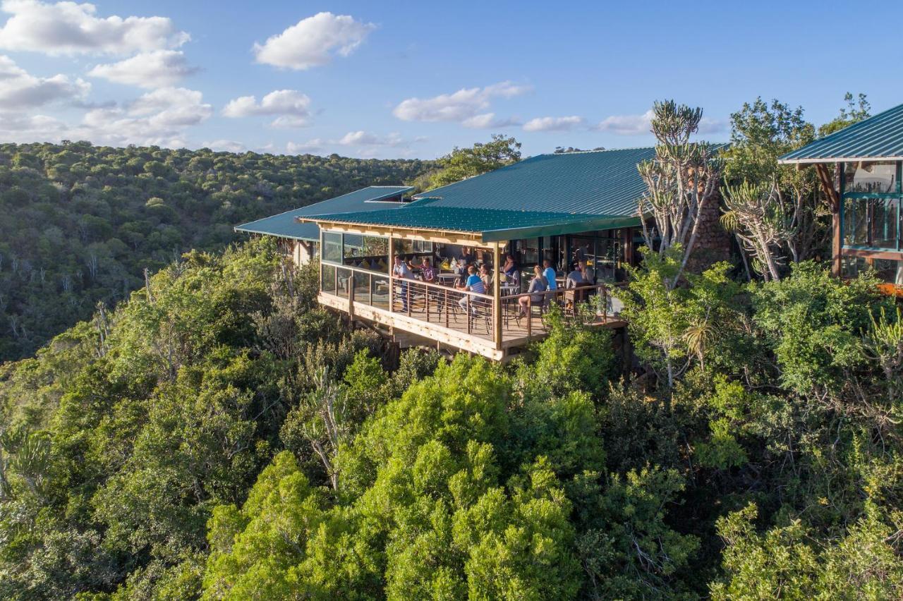 Kariega Game Reserve Main Lodge Kenton on Sea Luaran gambar